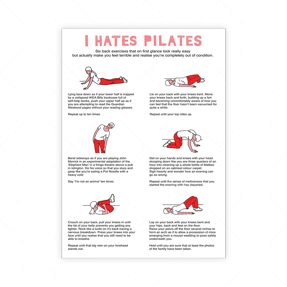 Ich hasse PILATES Serviette à  – Pilates Yoga Room Bewertung und Preis